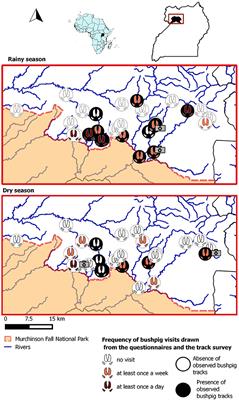 Comparison of Three Methods to Assess the Potential for Bushpig-Domestic Pig Interactions at the Wildlife—Livestock Interface in Uganda